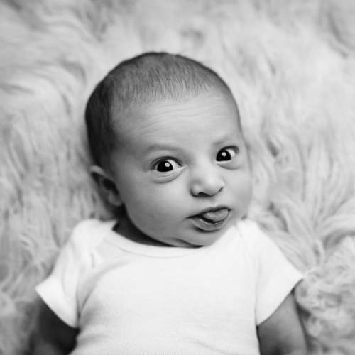 Фотография #5629870