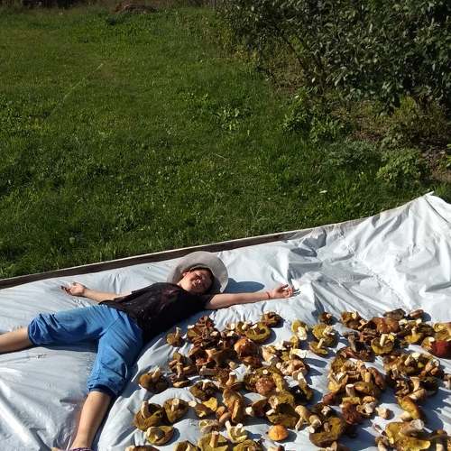 Photo #5630110