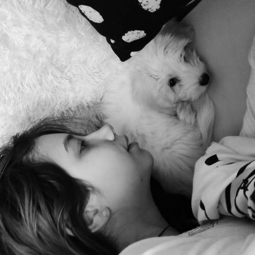 Photo #5630375
