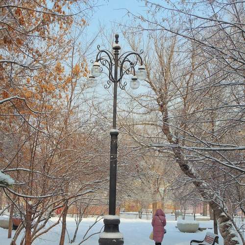 Photo #5630403