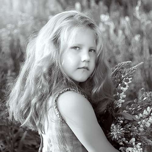 Photo #5630774
