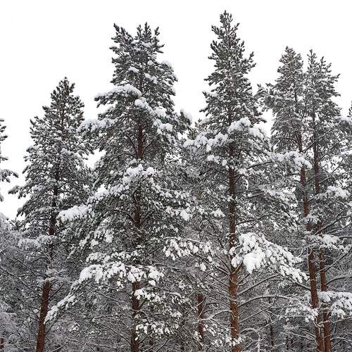 Photo #5630881