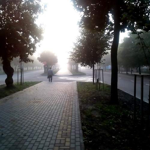 Photo #5630905