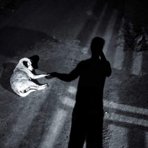 Photo #5631167
