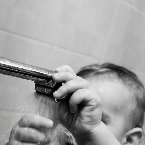 Photo #5631315