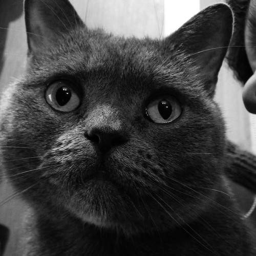 Photo #5632828
