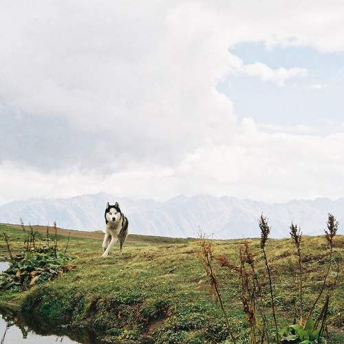 Photo #5633123