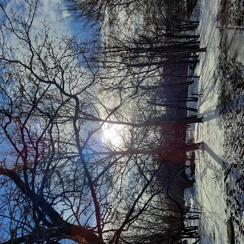 Photo #5633142