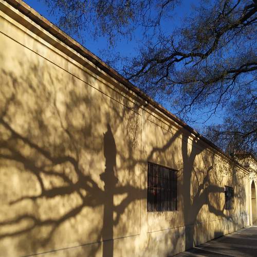Photo #5633262