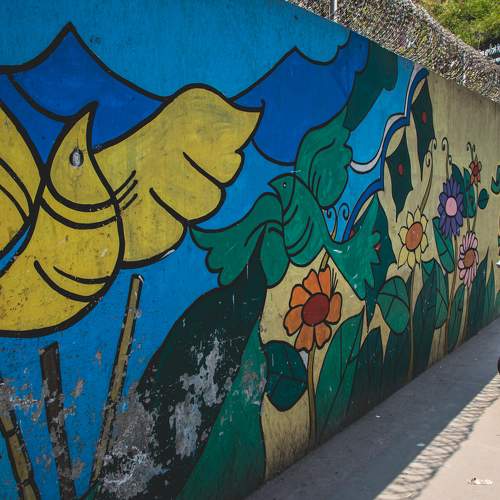 Photo #5633358