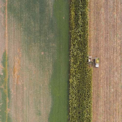 Photo #5633483