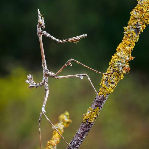 Photo #5633960