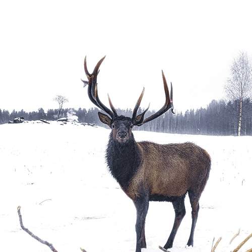 Photo #5633995
