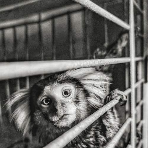 Freedom to be free