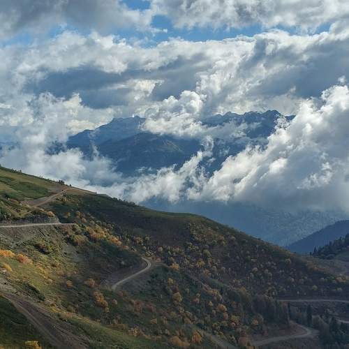 Photo #5634471