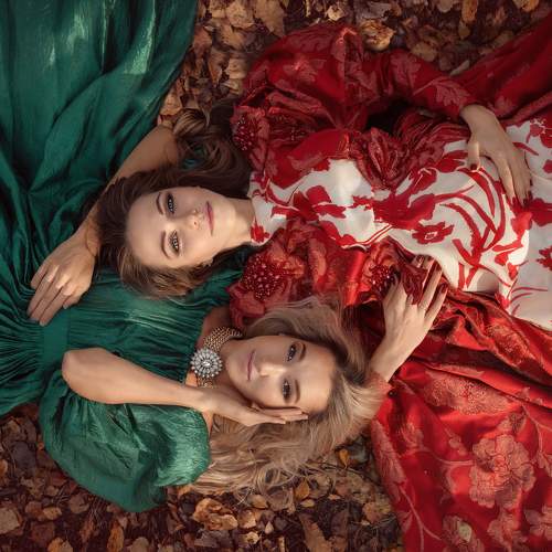 In the autumn forest