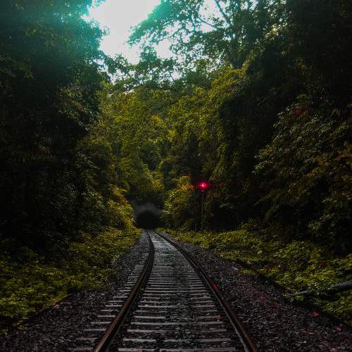 Photo #5635217