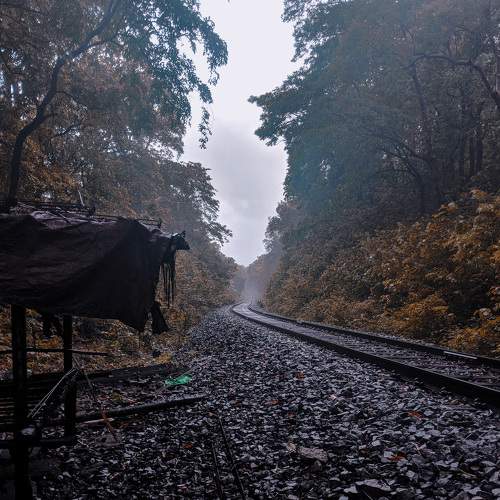Photo #5635222