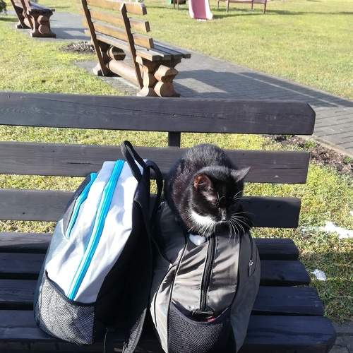 Photo #5635258