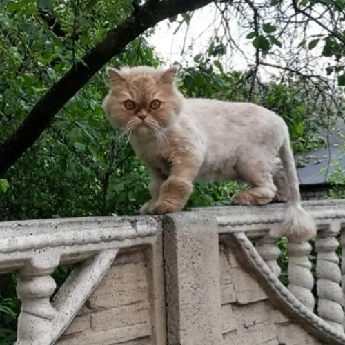 Photo #5635293