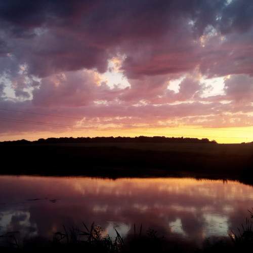 Photo #5635324