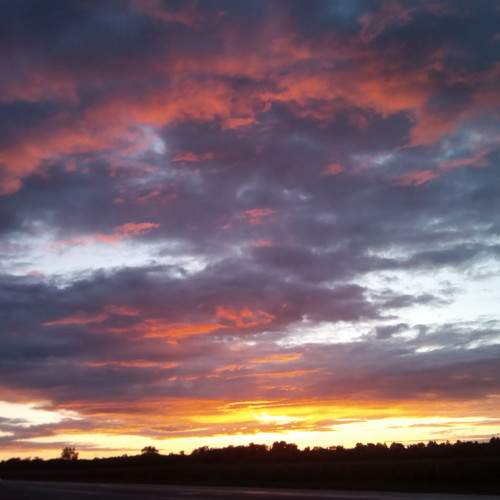Photo #5635492