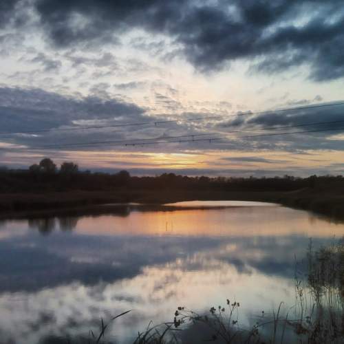 Photo #5635506