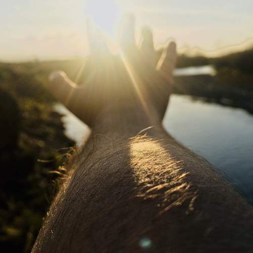 Photo #5635796