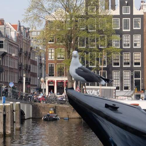 Photo #5635868