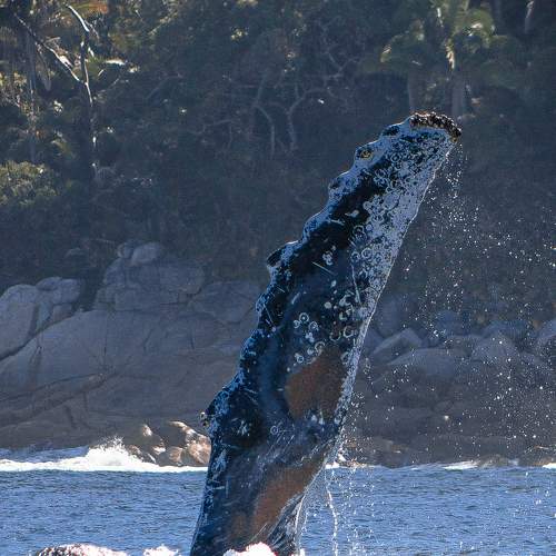 Photo #5636001