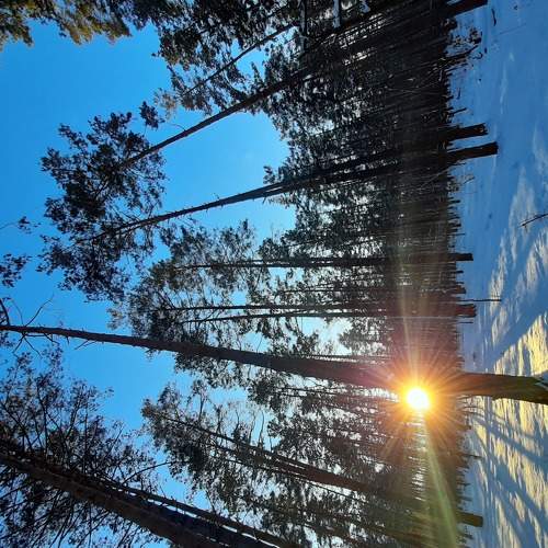 Photo #5636011