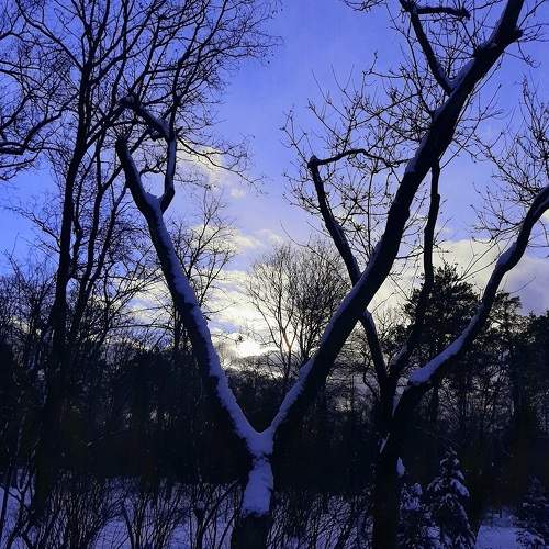 Photo #5636058