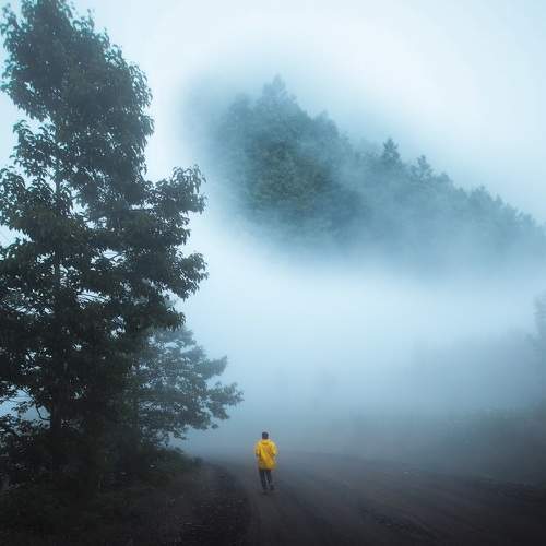 Photo #5636144