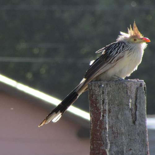 Photo #5636573