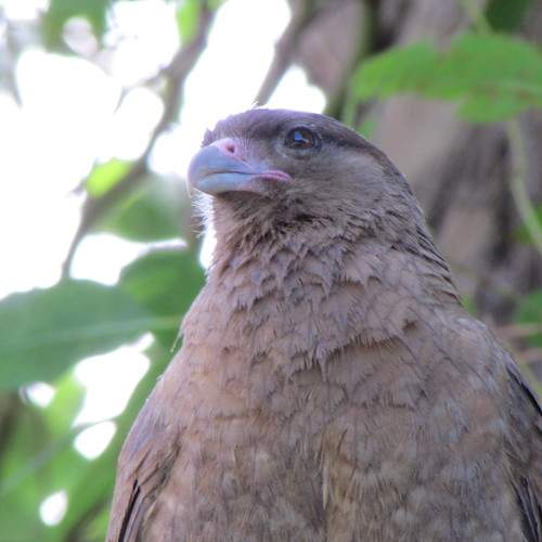 Photo #5636576