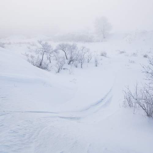 Photo #5636728