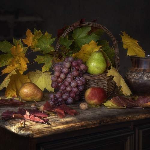 Photo #5636861