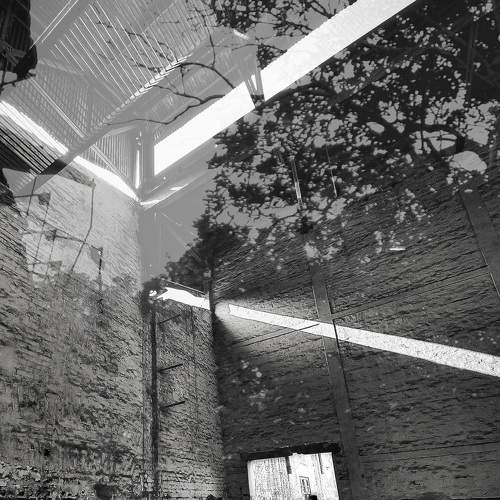 Photo #5636941