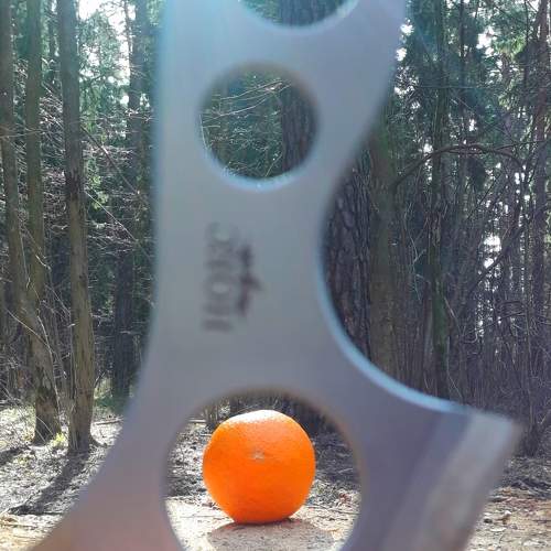 Photo #5638004