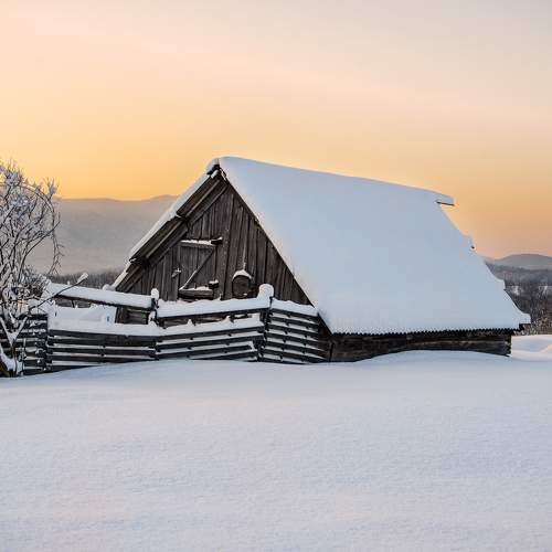 Photo #5638081