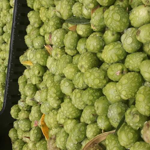 Photo #5638492