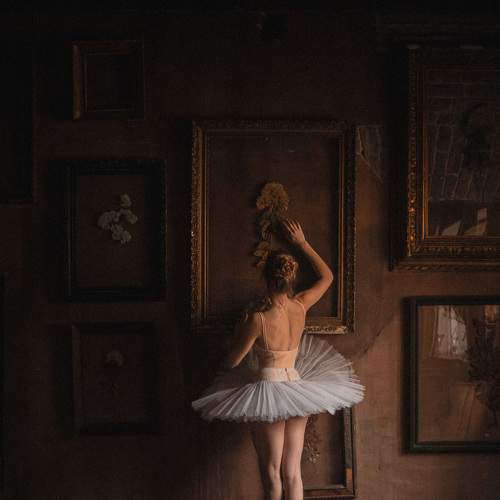 Photo #5638606