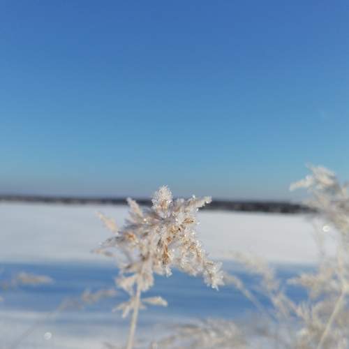 Photo #5639101