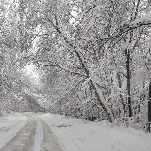 Photo #5639372