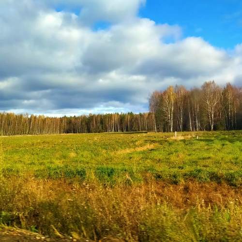 Photo #5639397