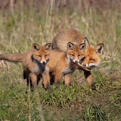 Photo #5639605