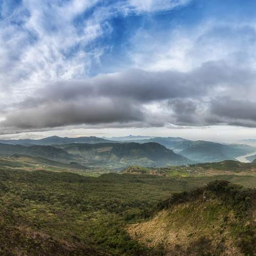 Photo #5639929