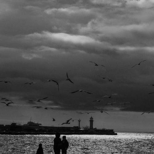 Photo #5639991