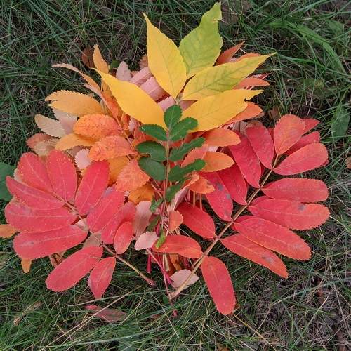 Photo #5640071