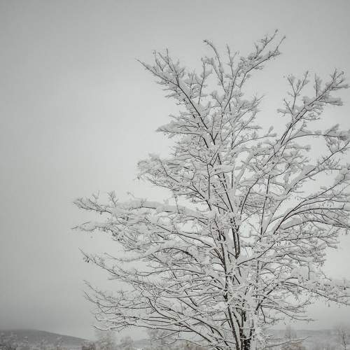 Photo #5640208
